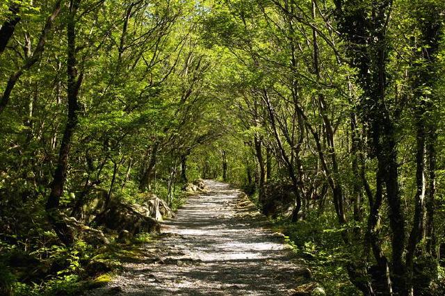 Nationalpark Paklenica