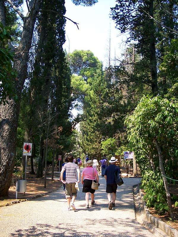 Insel Lokrum - Süddalmatien