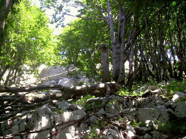 Nationalpark Risnjak