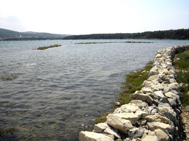 Insel Krk - Klosterinsel Koljun