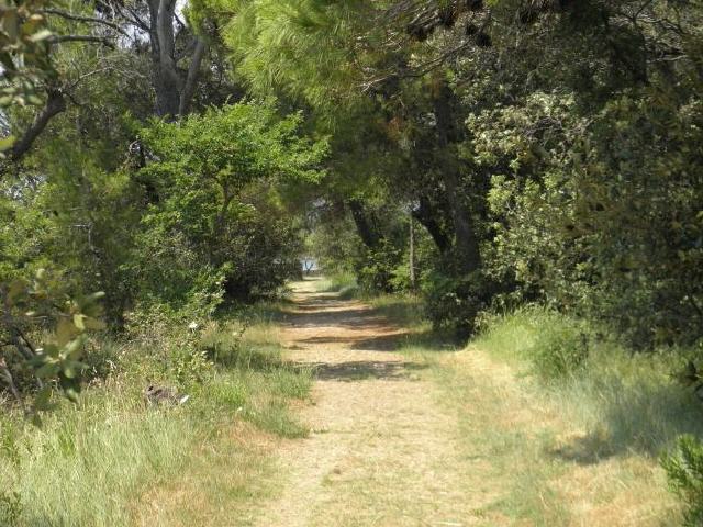 Insel Krk - Klosterinsel Koljun