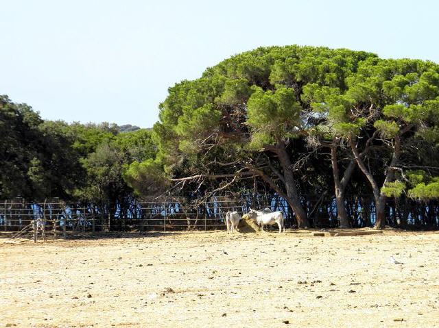 Nationalpark Brioni - Safaripark