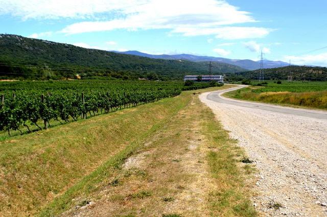 Vinodol-Tal - Kroatischer Wein